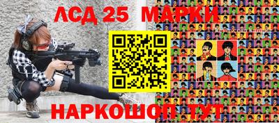 индика Усть-Илимск
