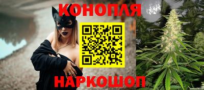 индика Усть-Илимск