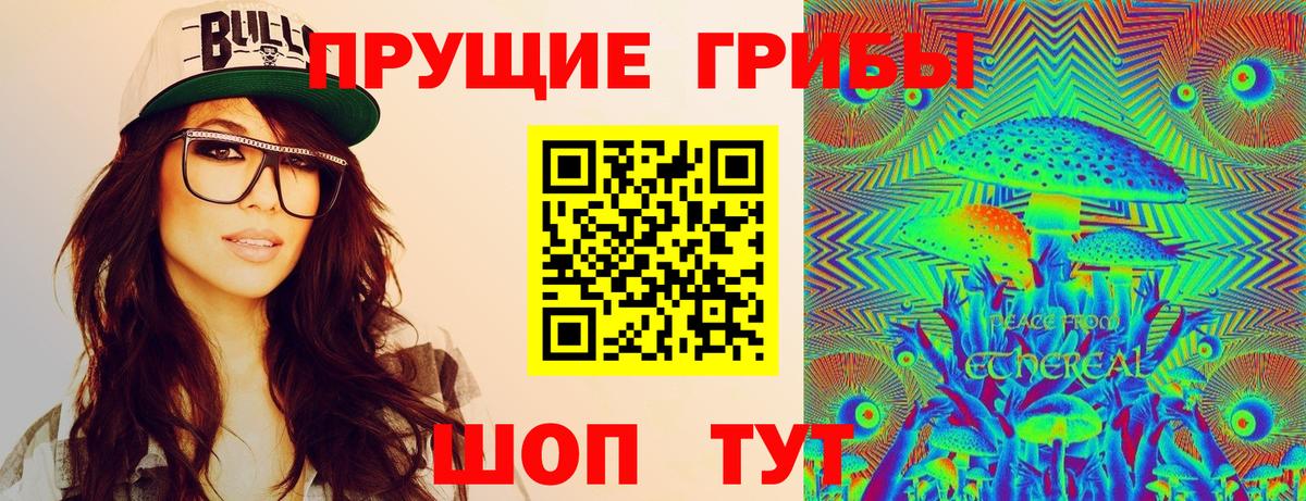 как найти   Вход с VPN  Дзержинск  Галлюциногенные грибы Cubensis 